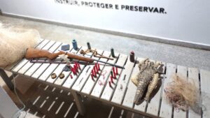 Couro de jacaré e arsenal ilegal são encontrados em operação da PM em Lagoa Grande