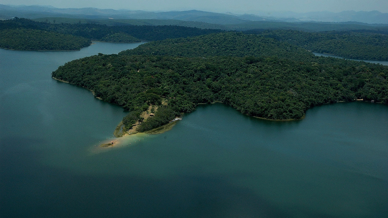 reflorestamento da Mata Atlântica Minas chega a 73% da meta de reflorestamento da Mata Atlântica