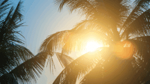 Triângulo Mineiro e Alto Paranaíba enfrentam semana de calor intenso com temperaturas acima de 30º