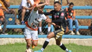 Divisão Especial do Amador