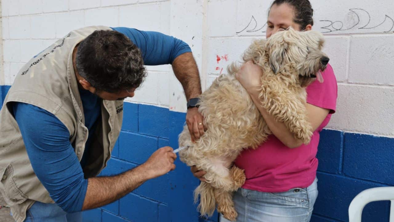 Campanha de Vacinação Antirrábica em Uberlândia