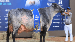 Torneio Leiteiro do Camaru 2025 começa e tem premiação total de R$ 20 mil