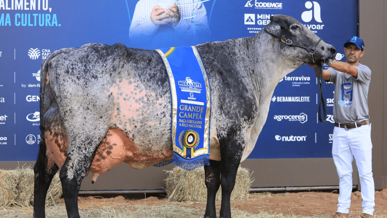 Torneio Leiteiro do Camaru 2025 começa e tem premiação total de R$ 20 mil