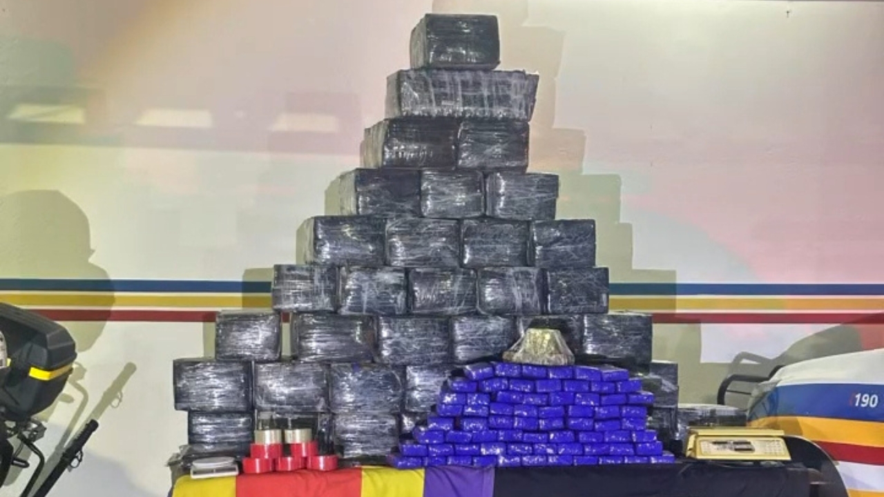 700 kg de maconha