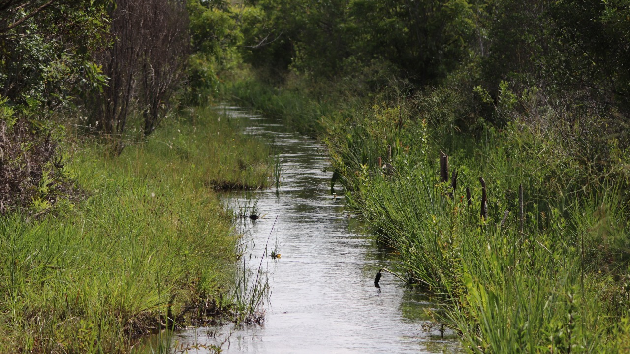 Cerrado no Triângulo Mineiro