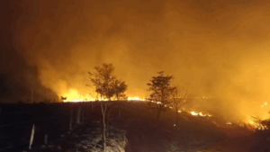 Incêndio atinge zona de amortecimento