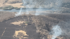 Incêndio em Uberlândia queima 65 hectares próximos ao Parque Pau Furado