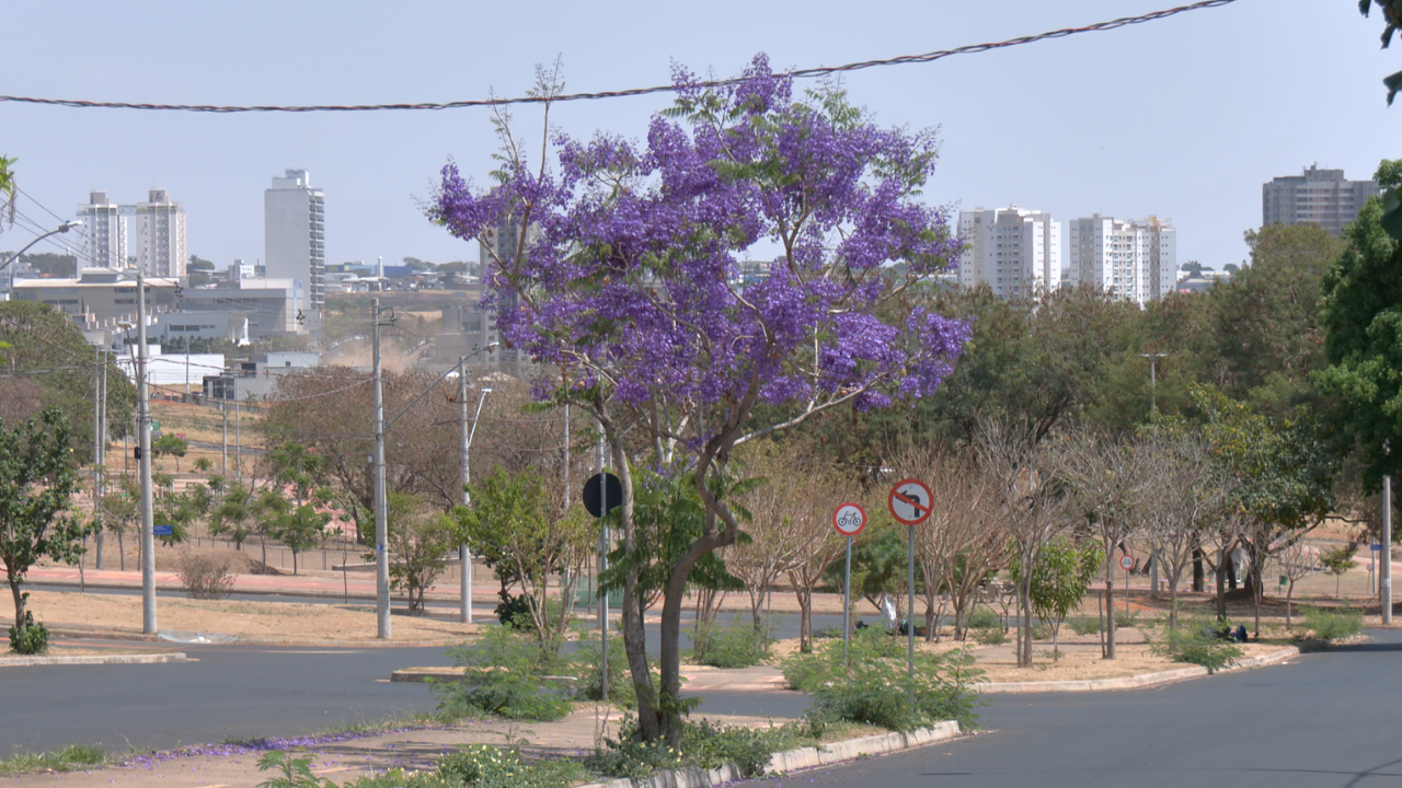 Primavera terá temperaturas acima da média e chuvas irregulares no Triângulo Primavera terá temperaturas acima da média e chuvas irregulares no Triângulo