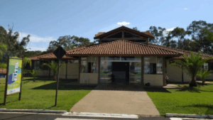 Suspeita de abuso infantil