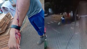 Ataque de pitbull assusta moradores no Roosevelt em Uberlândia