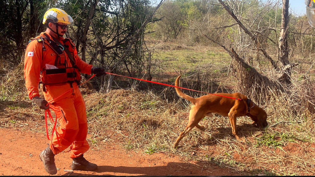 Bombeiros empregam os serviçoes dos cães farejadores na busca pelo DJ Genuino