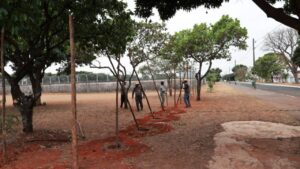 Obras de expansão no cemitério campo do bom pastor