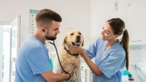 Dia do Veterinário