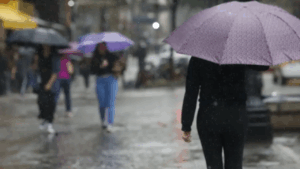 Frio inesperado