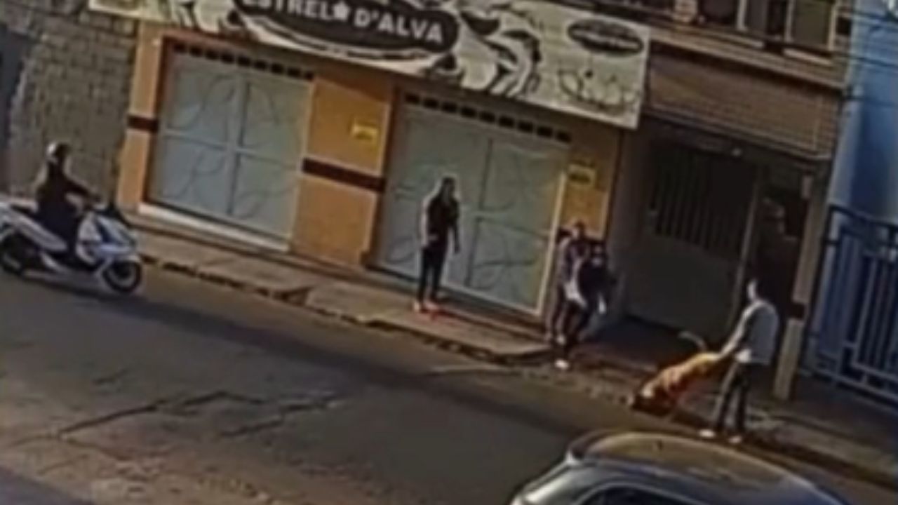 Idoso precisa amputar dedo da mão após briga de cachorros em Patos de Minas