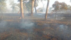 Incêndio atinge escritório e torre de telefonia em Santa Vitória; muro precisou ser derrubado para conter chamas