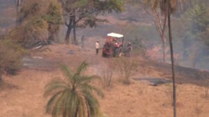incêndio em Estrela do Sul