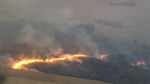 Imagens do incêndio na fazenda do Exército em Uberlândia