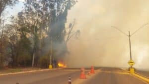 Incêndio atinge 30 hectares