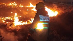 incêndio em vegetação em Uberaba