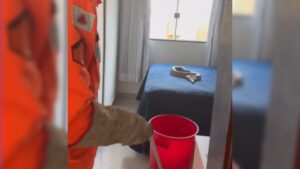 Momento em que bombeiros capturam jiboia de 1,40 em cima da cama de moradora de Unaí