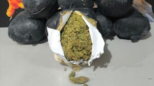 Polícia Militar apreende 10 kg de maconha em ônibus interceptado na BR-365 em Uberlândia