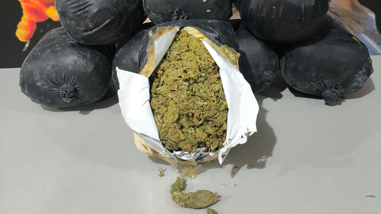 Polícia Militar apreende 10 kg de maconha em ônibus interceptado na BR-365 em Uberlândia