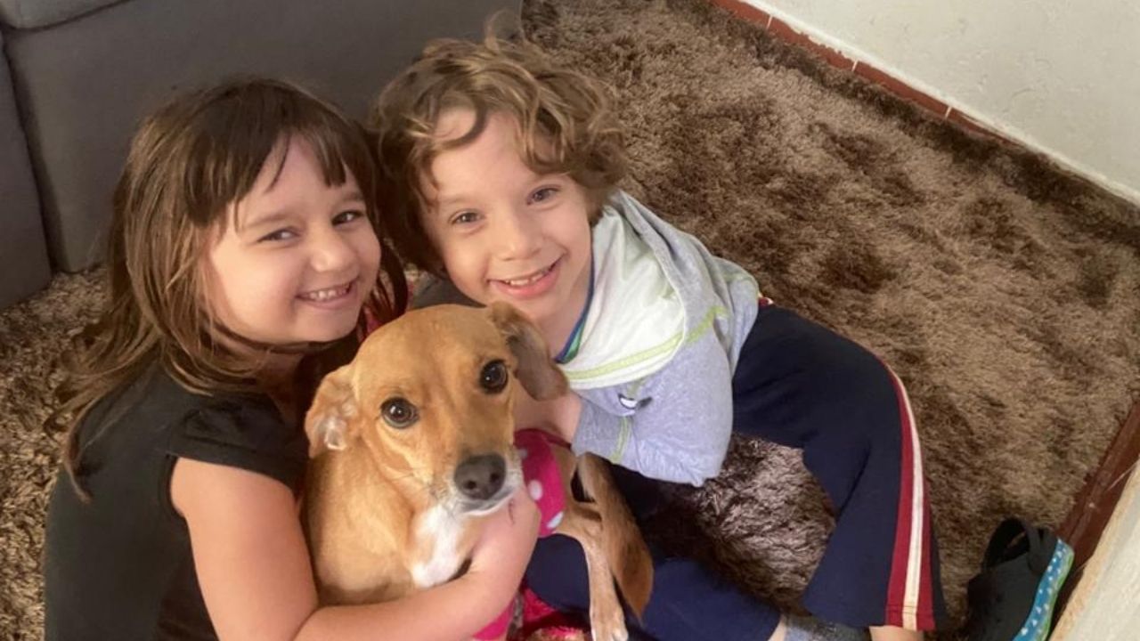 Ana Júlia e Fábio Crianças que sumiram após serem levadas pelo pai