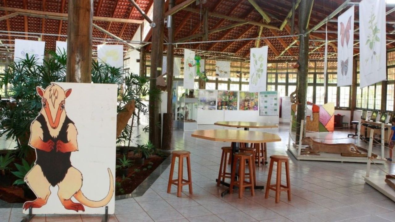 museu-de-biodiversidade-do-cerrado Museu de Biodiversidade do Cerrado