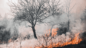 Ambulância pega fogo e chamas invadem pasto, destruindo 4 hectares de área