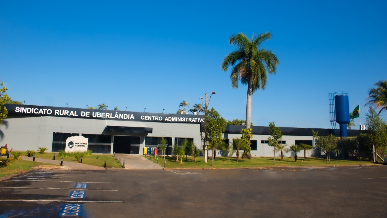 Leilão beneficente em Uberlândia