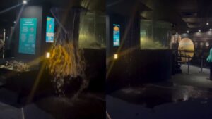 Imagens mostram momento de vazamento no teto do AquaRio