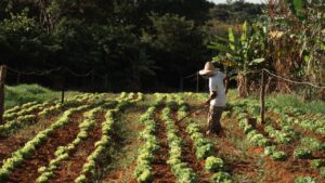 Cena do filme Canto da Terra, que estreia no Cine Caipora