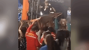 Placa despenca durante show gospel