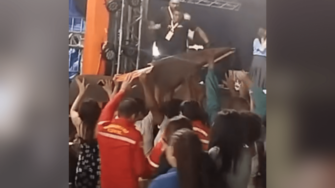 Placa despenca durante show gospel