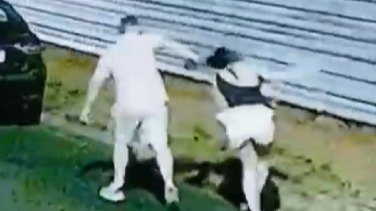 “Cena revoltante”: vídeo mostra homem agredindo e pisando no rosto da namorada em Uberlândia