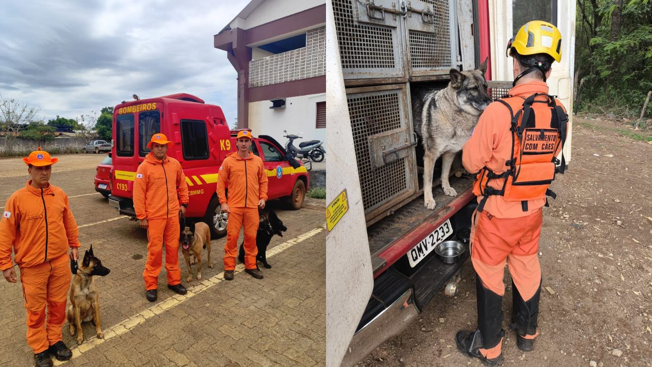 bombeiros buscam por ossos buscas por ossos