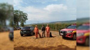 Polícia Militar e Corpo de Bombeiros com cães farejadores // Empresário é morto em Patrocínio e polícia prende suspeitos após um deles ter recebido transferência da vítima via PIX - Crédito: Polícia Militar/Divulgação