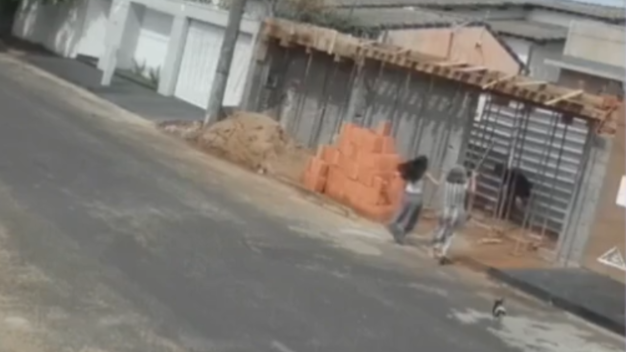 Mulheres espantam ladrão a pauladas em rua de bairro Santa Mônico, em Uberlândia Mulheres espantam ladrão a pauladas em rua de bairro Santa Mônico, em Uberlândia