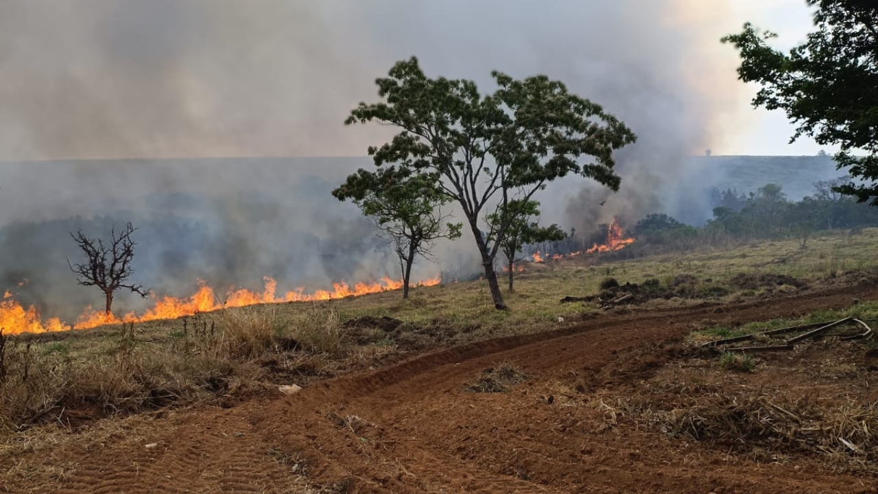 incêndio em vegetação incêndio em vegetação