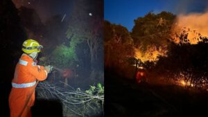 Bombeiros atendem incêndio em área de reserva florestal em Uberlândia