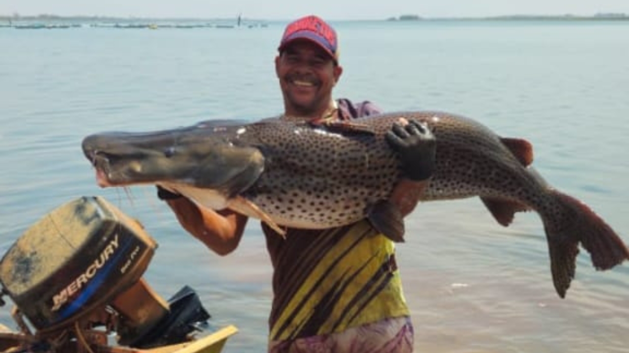 peixe fisgado no Rio Paranaíba peixe fisgado no Rio Paranaíba