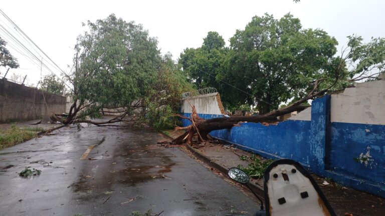 chuva em uberaba