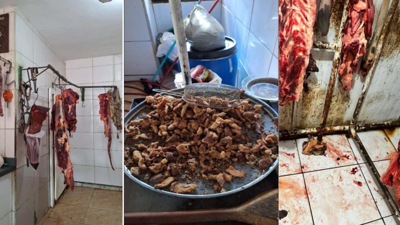 açougue com carne estragada