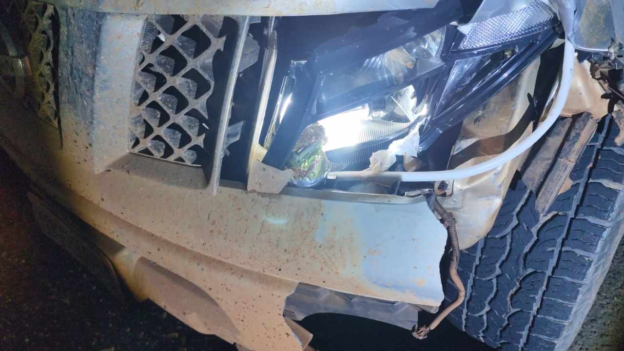 homem morre atropelado na MGC-452