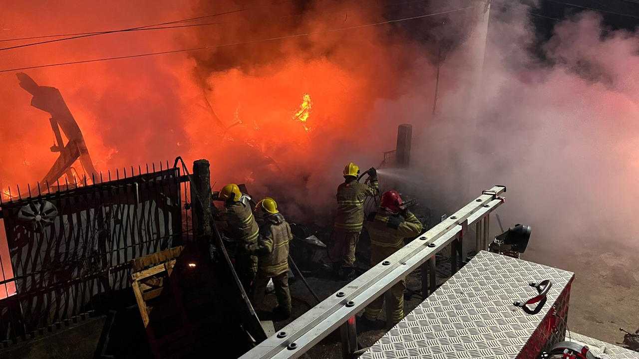 Cadela é resgatada durante incêndio