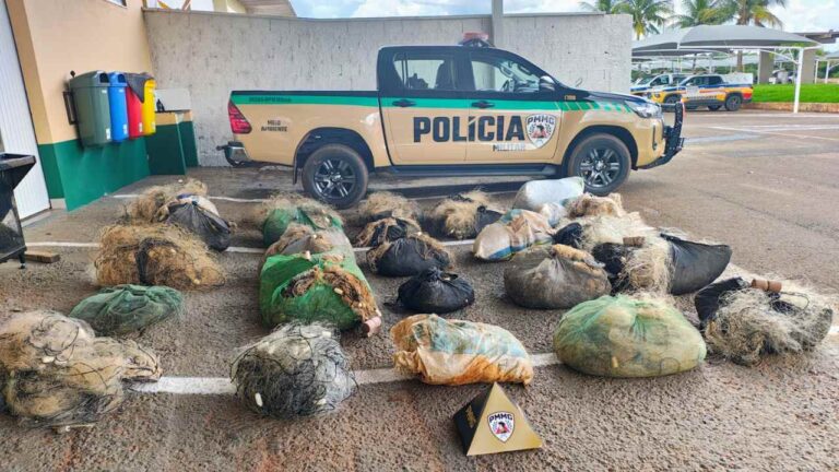 Piracema no Pontal do Triângulo Mineiro