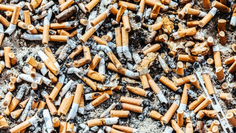bitucas de cigarro