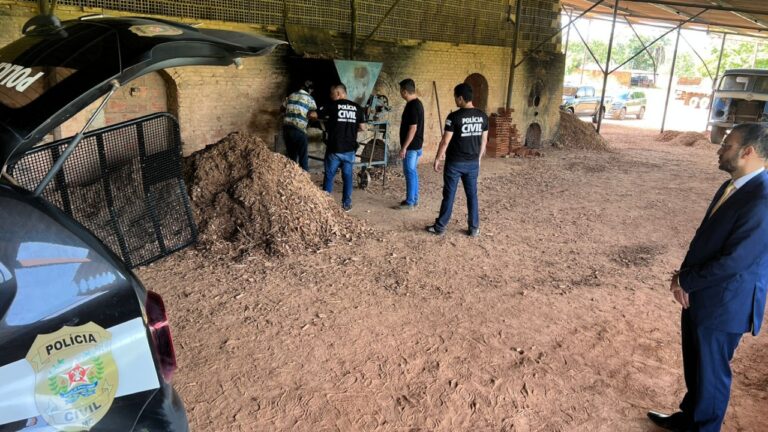 Incineração de maconha em Cascalho Rico destrói 15 kg de droga apreendida