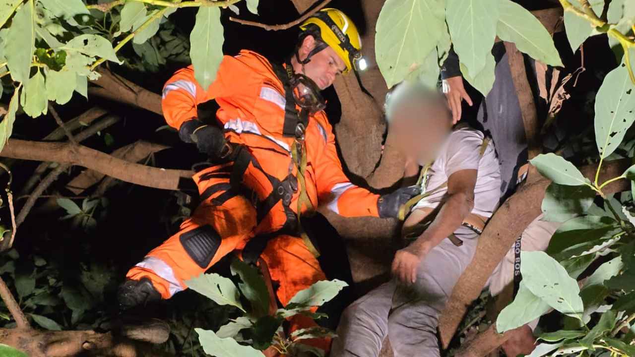 Idoso fica preso em goiabeira Idoso fica preso em goiabeira